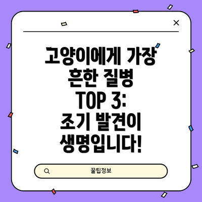 고양이에게 가장 흔한 질병 TOP 3: 조기 발견이 생명입니다!
