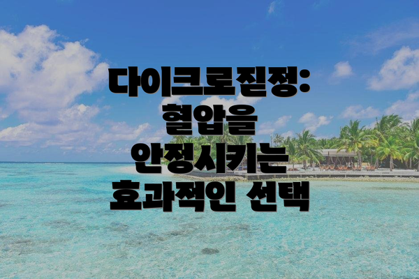 다이크로짇정: 혈압을 안정시키는 효과적인 선택