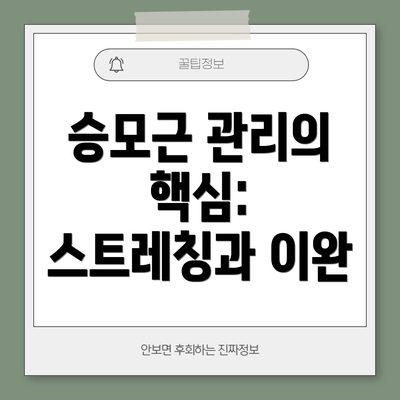 승모근 관리의 핵심: 스트레칭과 이완