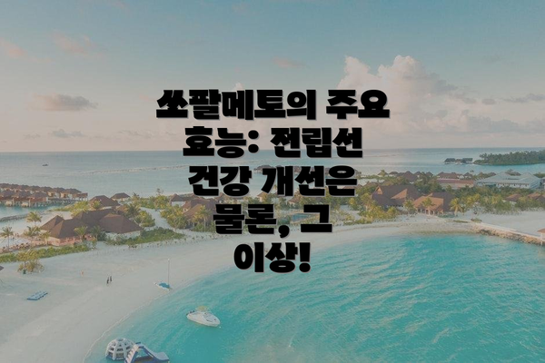 쏘팔메토의 주요 효능: 전립선 건강 개선은 물론, 그 이상!