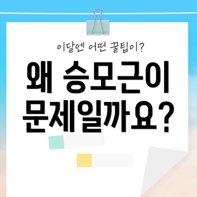 왜 승모근이 문제일까요?