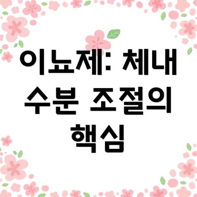이뇨제: 체내 수분 조절의 핵심