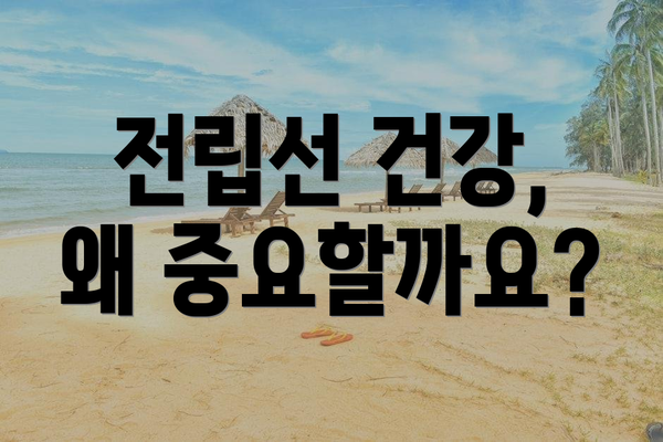 전립선 건강, 왜 중요할까요?