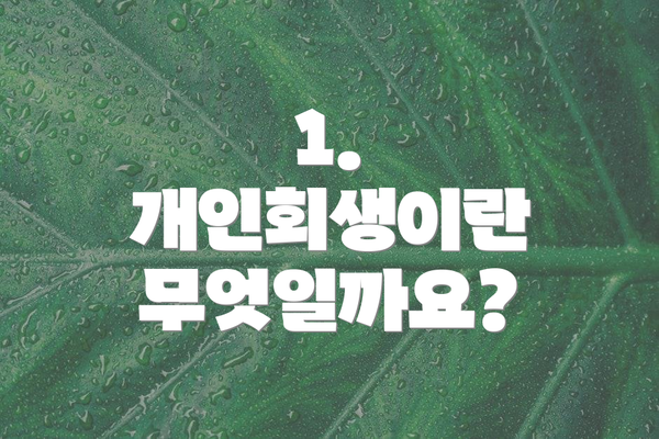 1. 개인회생이란 무엇일까요?