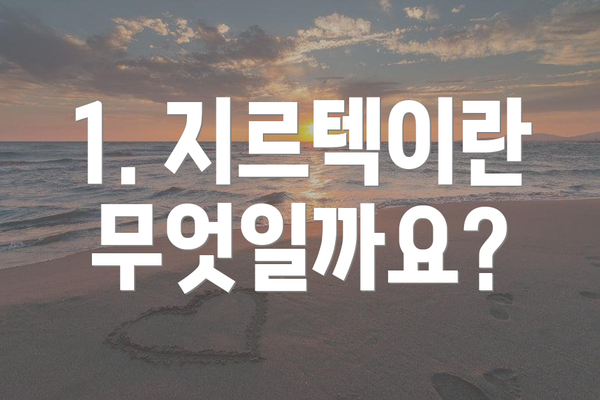 1. 지르텍이란 무엇일까요?