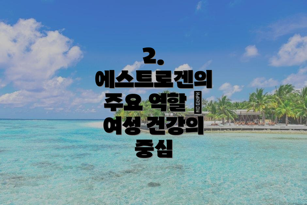 2. 에스트로겐의 주요 역할 – 여성 건강의 중심