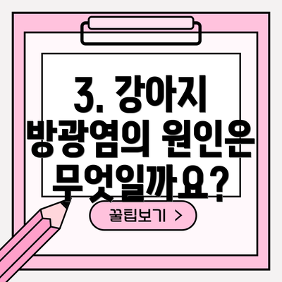 3. 강아지 방광염의 원인은 무엇일까요?