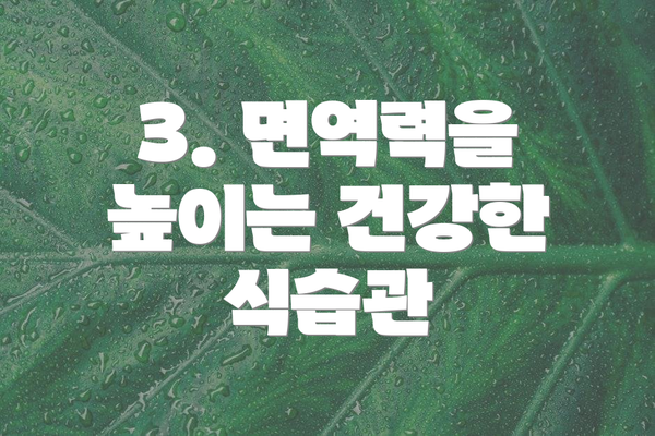 3. 면역력을 높이는 건강한 식습관