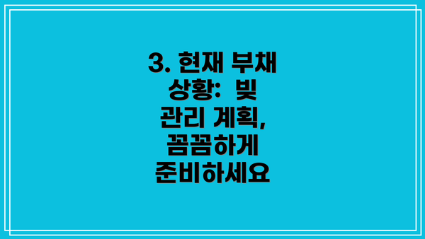 3. 현재 부채 상황: 빚 관리 계획, 꼼꼼하게 준비하세요
