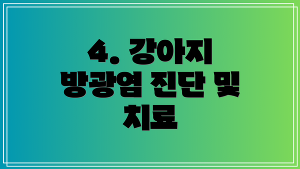 4. 강아지 방광염 진단 및 치료