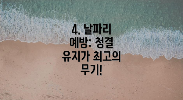 4. 날파리 예방: 청결 유지가 최고의 무기!