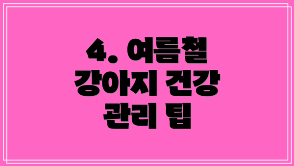 4. 여름철 강아지 건강 관리 팁
