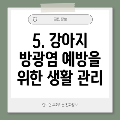5. 강아지 방광염 예방을 위한 생활 관리