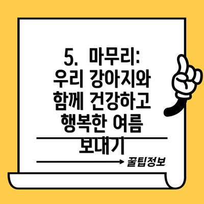 5.  마무리: 우리 강아지와 함께 건강하고 행복한 여름 보내기