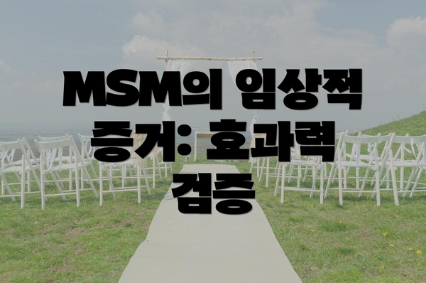 MSM의 임상적 증거: 효과력 검증