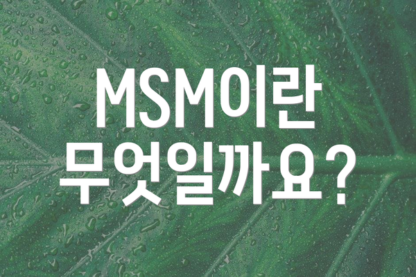 MSM이란 무엇일까요?