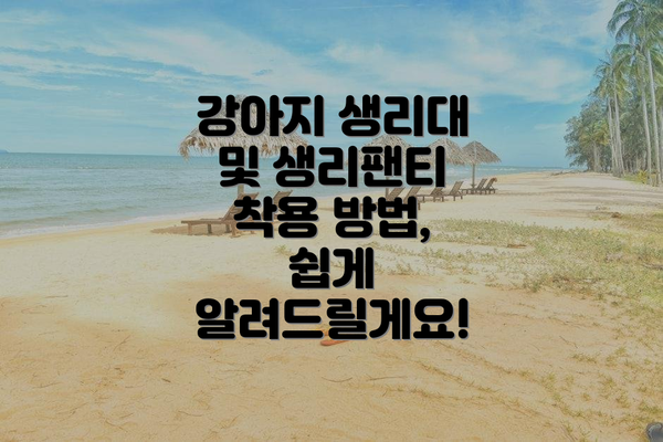 강아지 생리대 및 생리팬티 착용 방법, 쉽게 알려드릴게요!