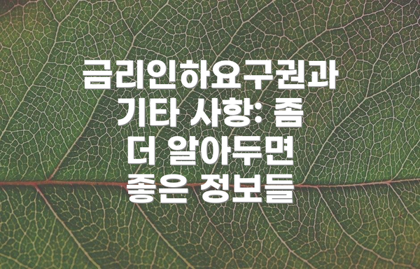 금리인하요구권과 기타 사항: 좀 더 알아두면 좋은 정보들