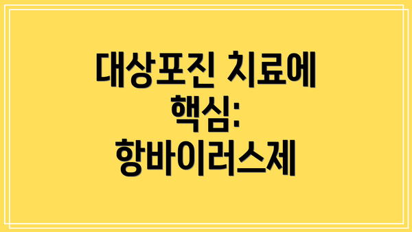 대상포진 치료에 핵심: 항바이러스제