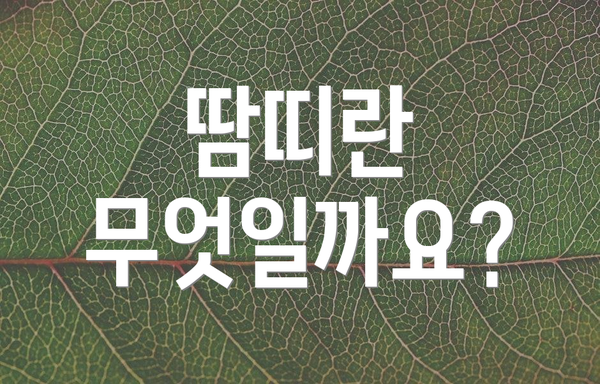 땀띠란 무엇일까요?