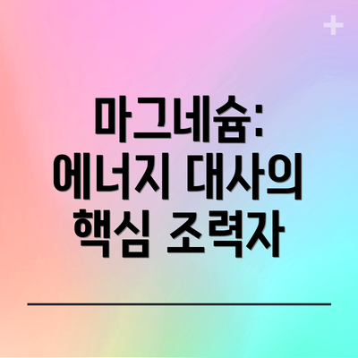 마그네슘: 에너지 대사의 핵심 조력자