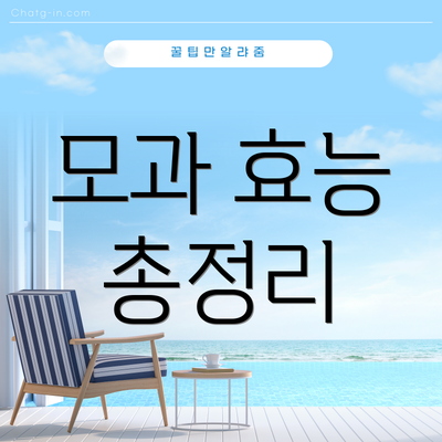 모과 효능 총정리