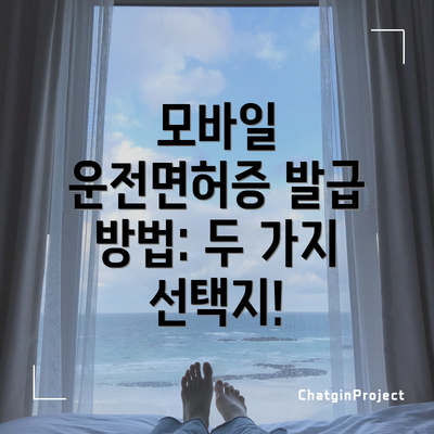 모바일 운전면허증 발급 방법: 두 가지 선택지!