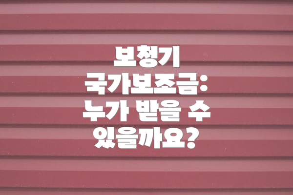 보청기 국가보조금: 누가 받을 수 있을까요?