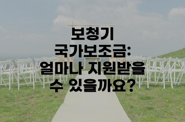 보청기 국가보조금: 얼마나 지원받을 수 있을까요?