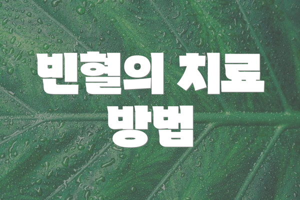 빈혈의 치료 방법