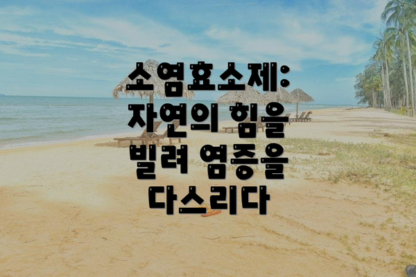 소염효소제: 자연의 힘을 빌려 염증을 다스리다