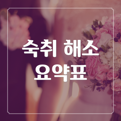 숙취 해소 요약표