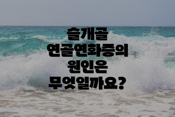 슬개골 연골연화증의 원인은 무엇일까요?