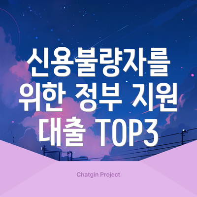 신용불량자를 위한 정부 지원 대출 TOP3