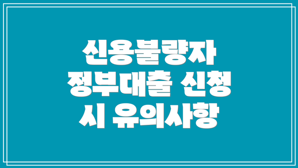신용불량자 정부대출 신청 시 유의사항