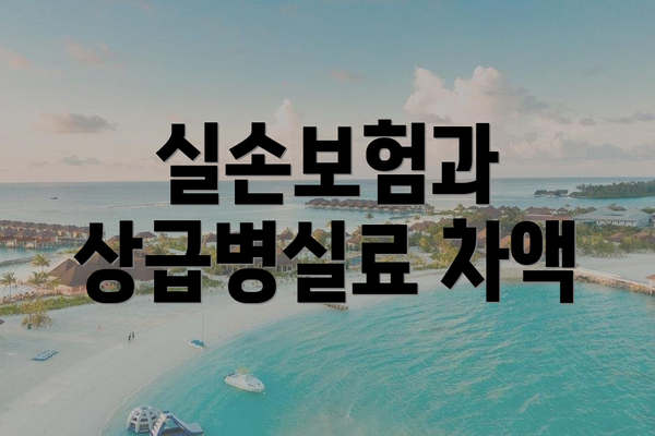 실손보험과 상급병실료 차액