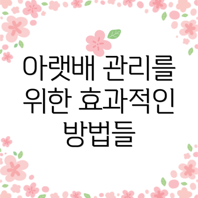 아랫배 관리를 위한 효과적인 방법들