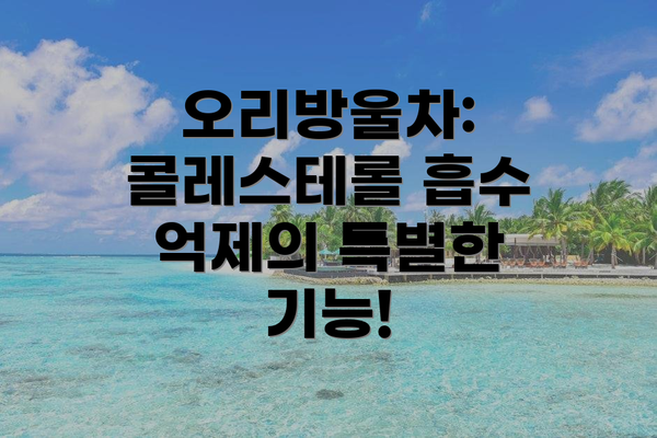 오리방울차: 콜레스테롤 흡수 억제의 특별한 기능!