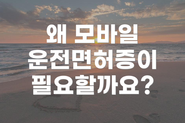 왜 모바일 운전면허증이 필요할까요?