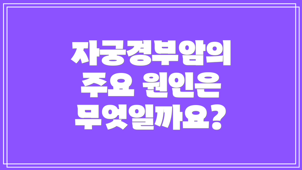 자궁경부암의 주요 원인은 무엇일까요?