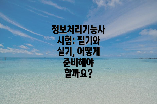 정보처리기능사 시험: 필기와 실기, 어떻게 준비해야 할까요?