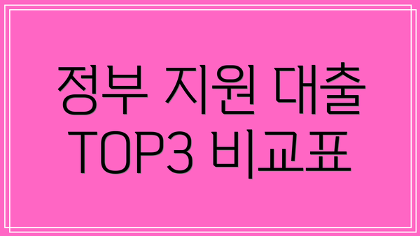 정부 지원 대출 TOP3 비교표