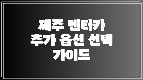 제주 렌터카 추가 옵션 선택 가이드
