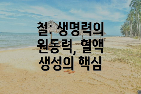 철: 생명력의 원동력, 혈액 생성의 핵심