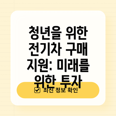 청년을 위한 전기차 구매 지원: 미래를 위한 투자