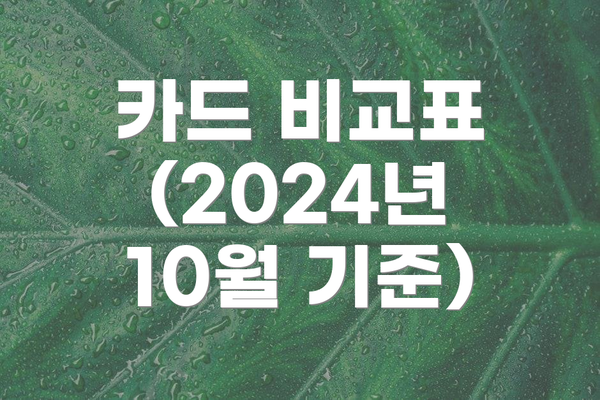 카드 비교표 (2024년 10월 기준)
