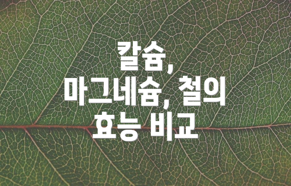 칼슘, 마그네슘, 철의 효능 비교