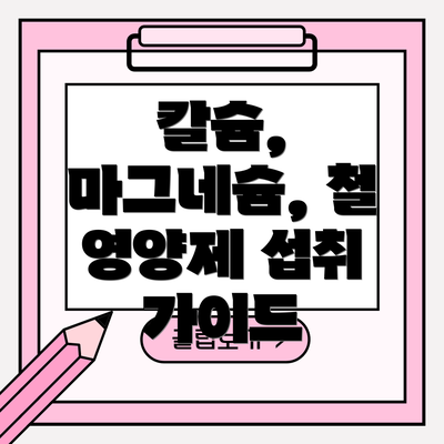 칼슘, 마그네슘, 철 영양제 섭취 가이드