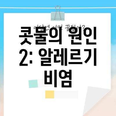 콧물의 원인 2: 알레르기 비염