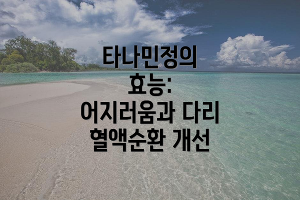 타나민정의 효능: 어지러움과 다리 혈액순환 개선